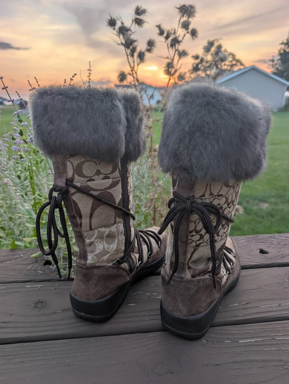 Coach Laurilyn Signature Logo Lace-Up Winter Boots with Gray Shearling Cuffs